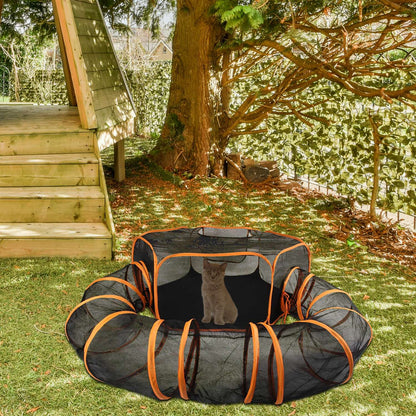 Pet tent with curved tunnel placed on grass under a tree with a small kitten visible inside
