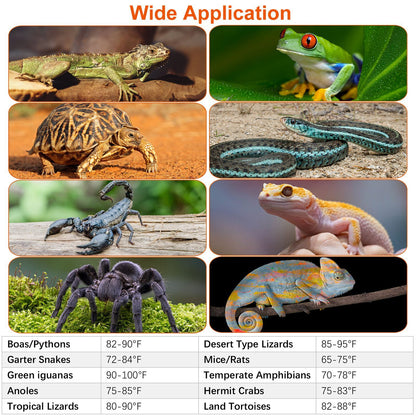 Collage of reptiles and amphibians with a table of recommended temperature ranges for different species