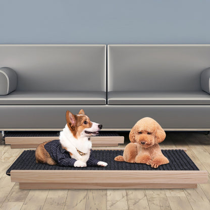 two small dogs resting on flattened wooden ramp mat in front of sofa