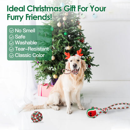 Dog by a Christmas tree with scattered red green rope toys and a gift message