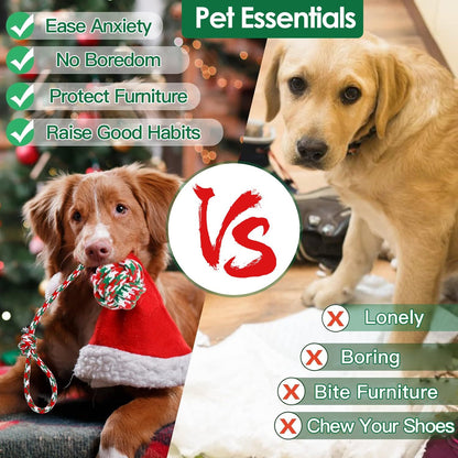 Split graphic listing benefits of rope toys versus problems like chewing furniture and boredom