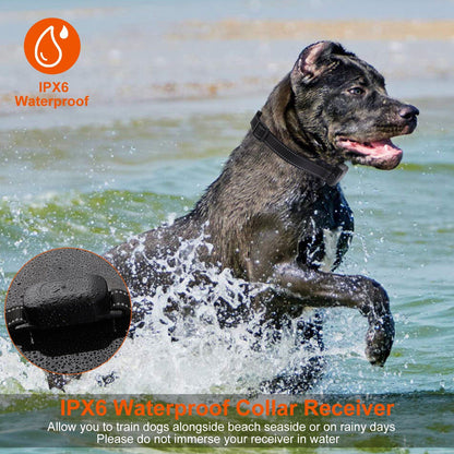 Dog wearing waterproof IPX6 collar receiver splashing in water with close-up of wet receiver