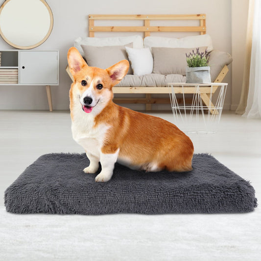 Small dark grey long-plush dog mat with a corgi sitting on it in a bright living room