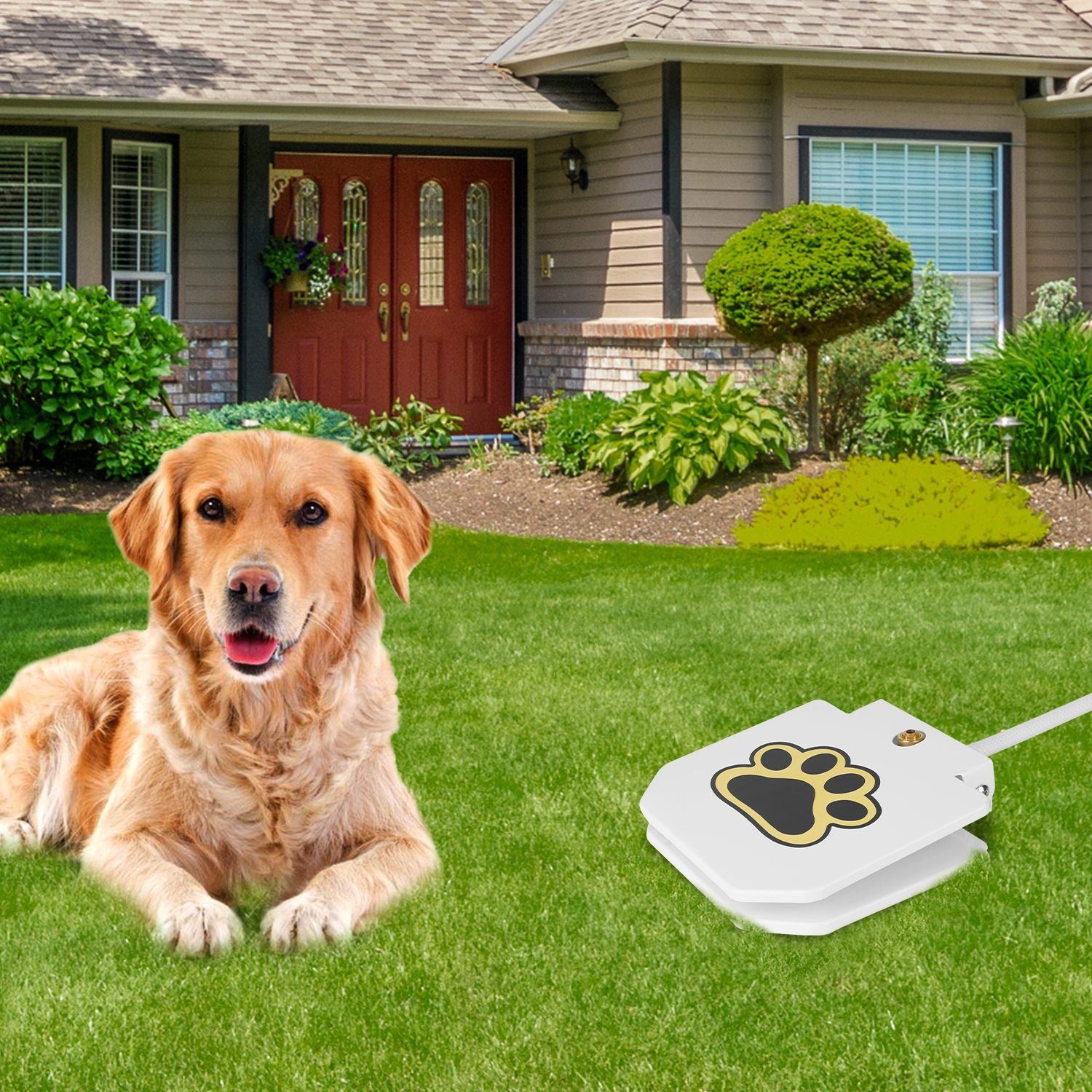 Dog resting on lawn with step-on water fountain placed on grass near house