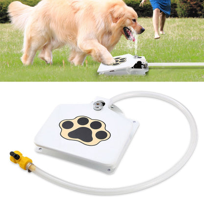 Golden retriever pressing white step-on dog water fountain with paw decal spraying water