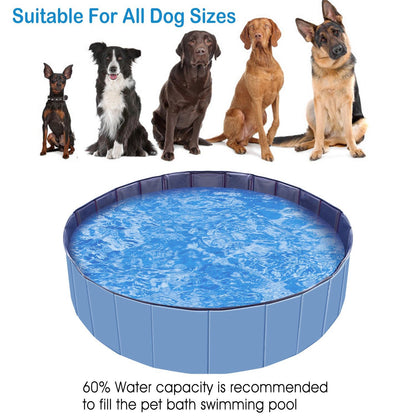 Collage of family and pet activities using the pool in different home and yard settings