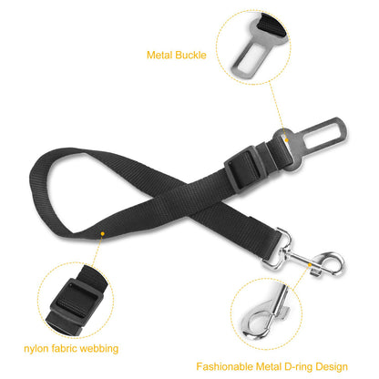 Close-up black nylon pet seat belt strap showing metal buckle, webbing, and swivel carabiner