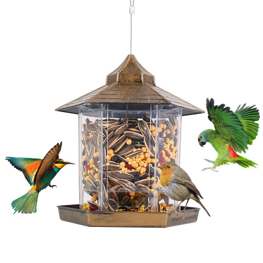 Gazebo bird feeder filled with seed and three birds, clear hexagonal reservoir and bronze roof
