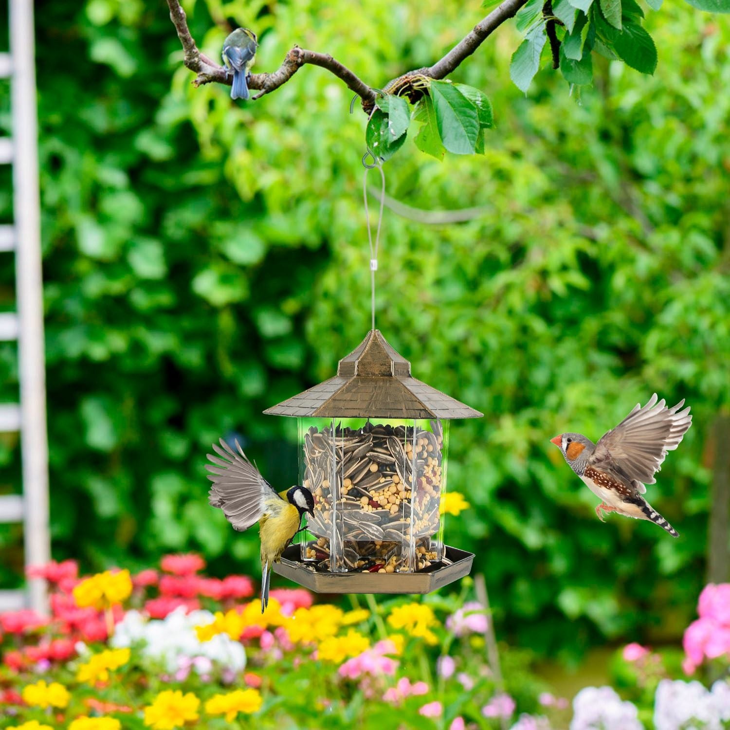 Green gazebo bird feeder hanging from branch in garden with birds approaching