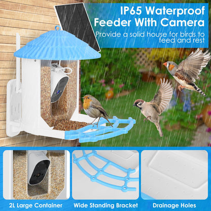 IP65 waterproof bird feeder with camera shown in rain, seeds visible inside