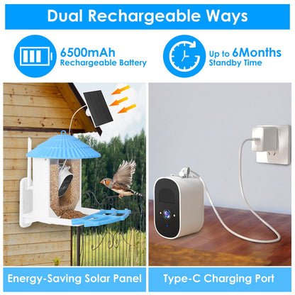 Dual rechargeable power graphic showing solar panel charging and Type-C wall charging