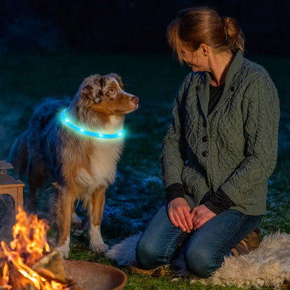 person by campfire with dog wearing illuminated collar demonstrating camp visibility at night