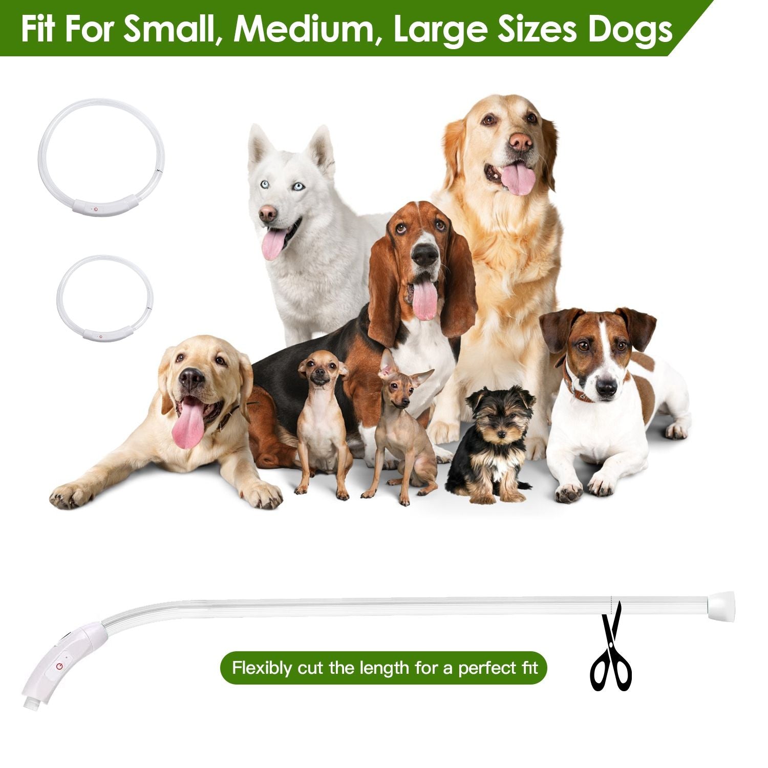 dog wearing glowing collar beside person at night with overlay table showing collar lengths for S M L