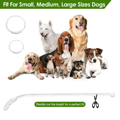 dog wearing glowing collar beside person at night with overlay table showing collar lengths for S M L