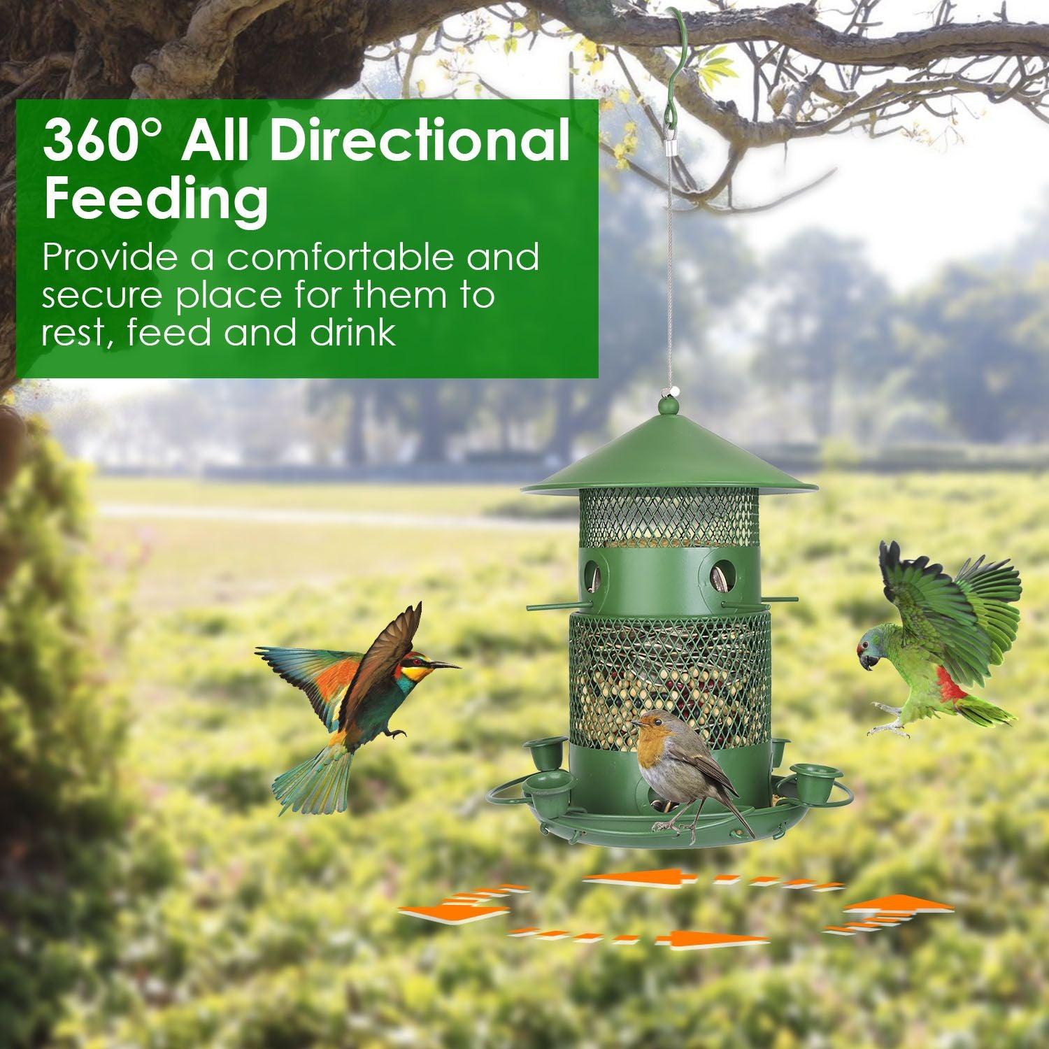 Hanging bird feeder in park setting with birds demonstrating 360-degree perches and water cups