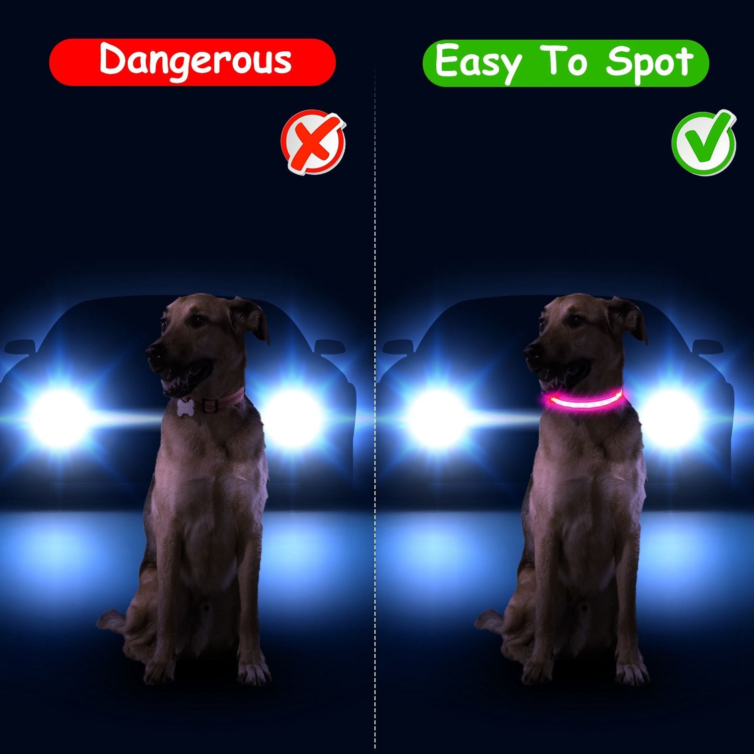 Night scene comparison showing dog without light and with illuminated LED collar for visibility