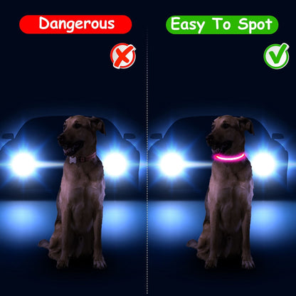 Night scene comparison showing dog without light and with illuminated LED collar for visibility