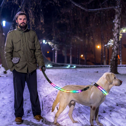 person walking a dog on a snowy night with a multicolor light up leash enhancing visibility