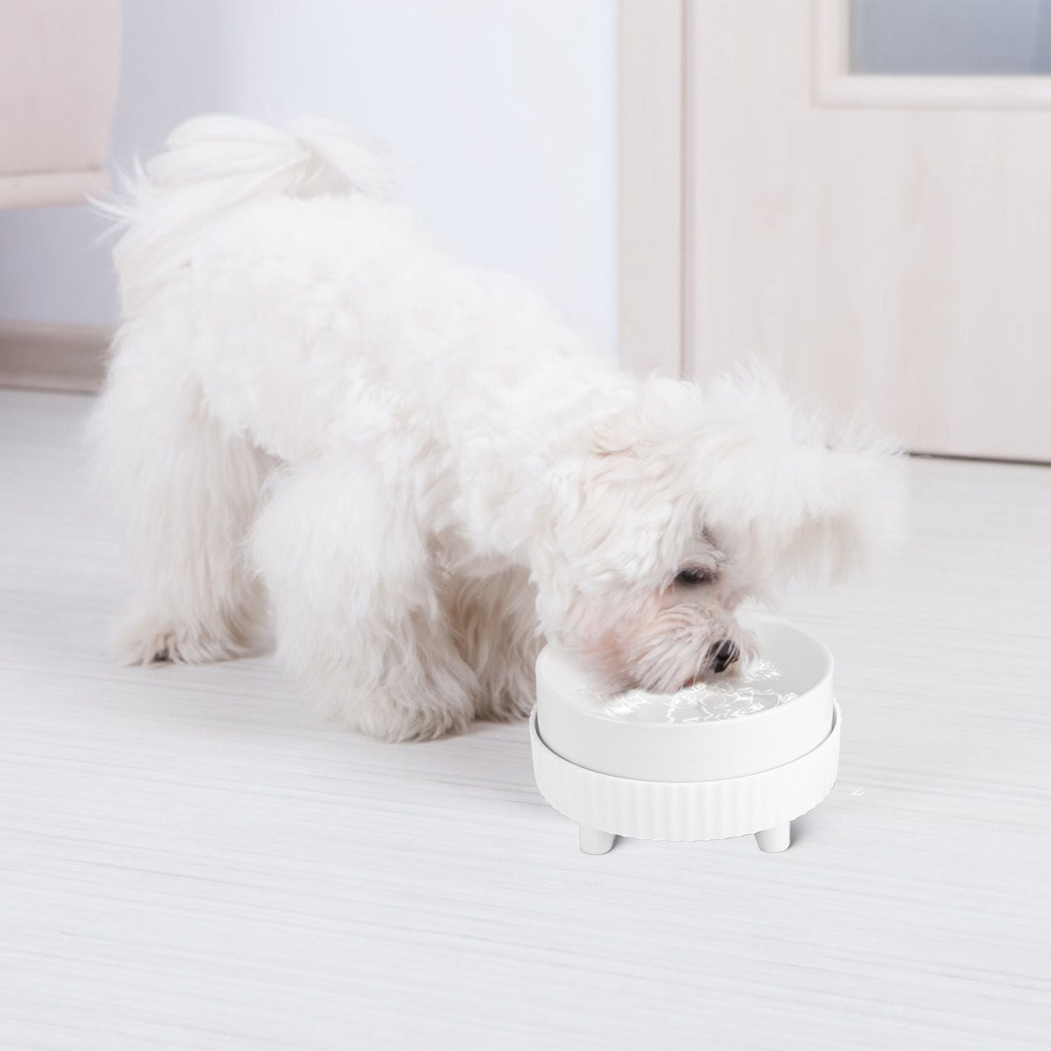Small white dog drinking from a compact heated ceramic pet bowl on a light floor
