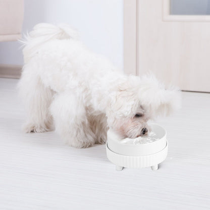 Small white dog drinking from a compact heated ceramic pet bowl on a light floor