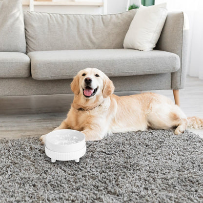 Golden retriever relaxing near a compact heated pet bowl on a carpeted living room floor