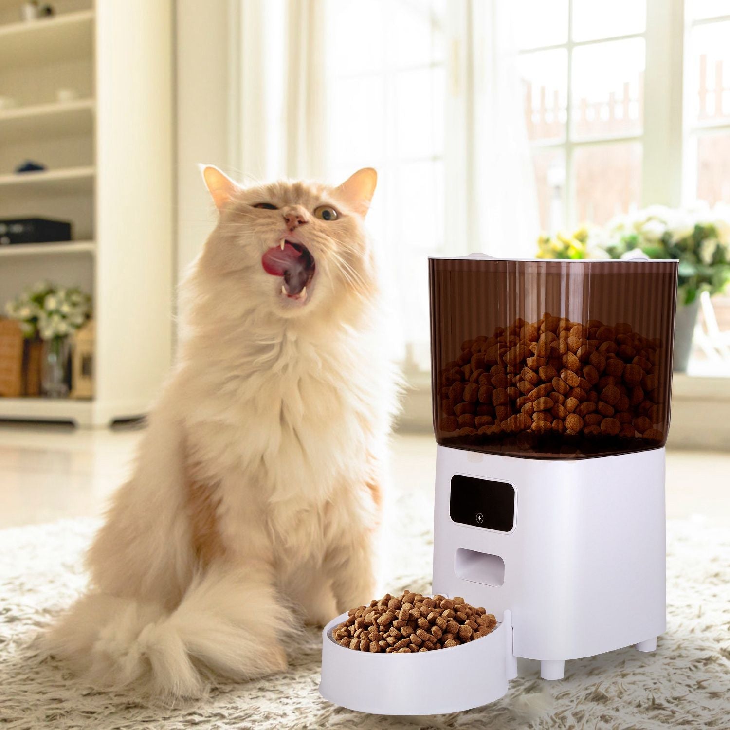 Fluffy cat next to feeder with bowl full of kibble on a rug, showing home use