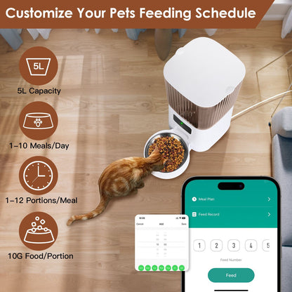 Overhead view of feeder and cat with app showing meal scheduling and portion icons
