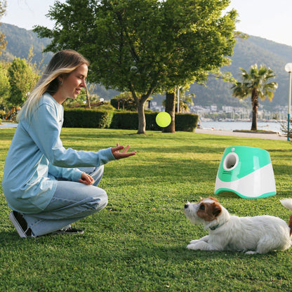 Person tossing a ball in a park with small dog watching and launcher nearby