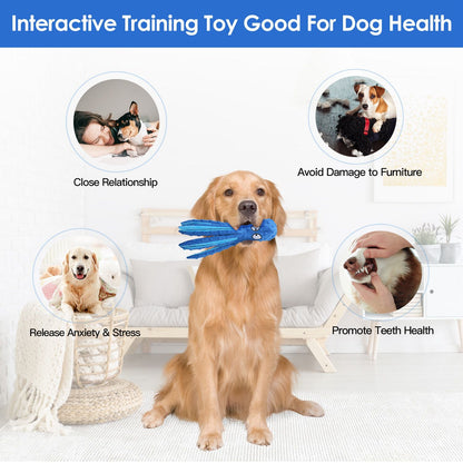 Golden retriever seated holding a blue octopus toy with icons representing health and training benefits