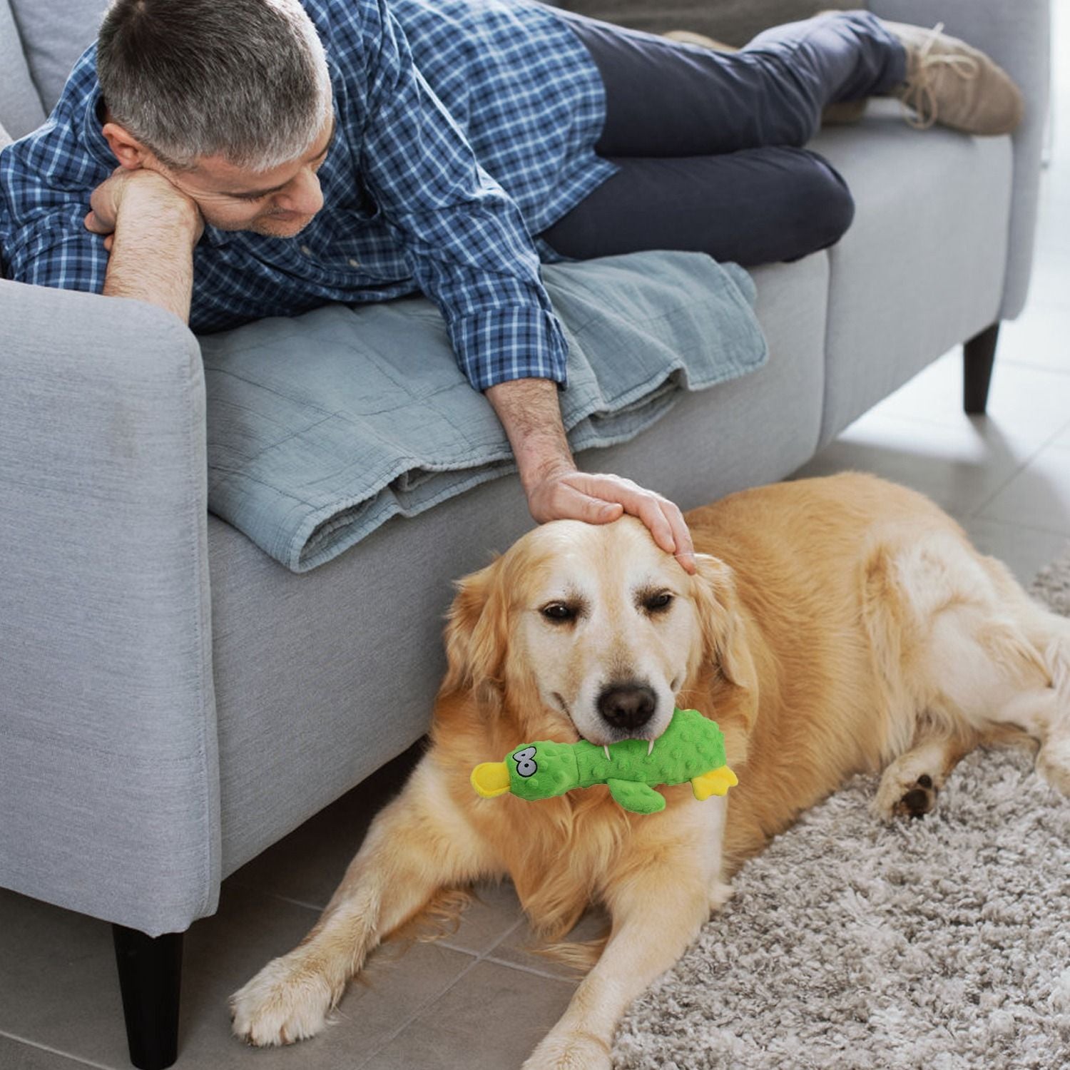 Person reaching to a dog lying on the floor with the green duck plush for quiet bonding