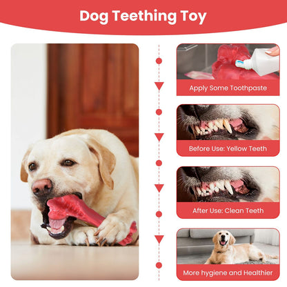 Labrador chewing red teething bone with steps showing toothpaste application and cleaner teeth