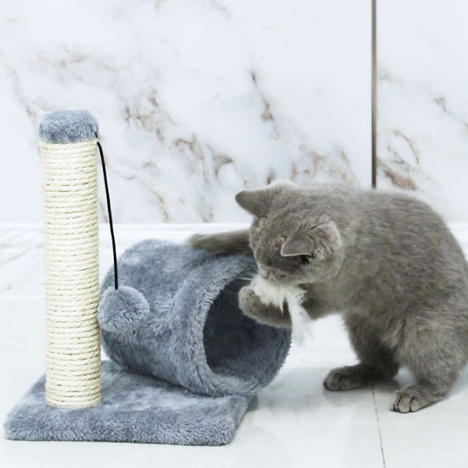 Cat playing with plush tunnel and toy mouse beside sisal-wrapped scratching post