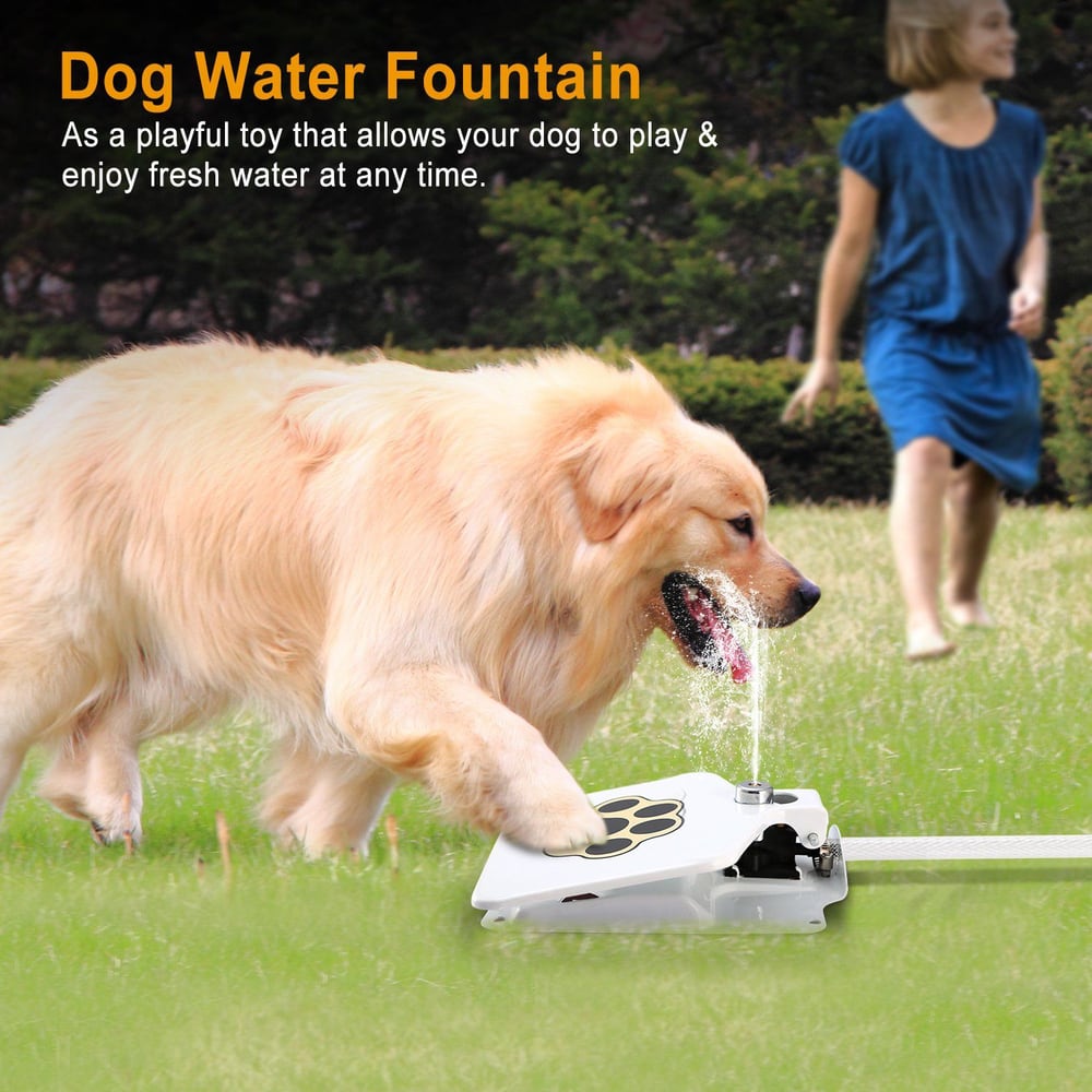 Golden Retriever enjoying a playful moment with a dog water fountain in a lush green yard, featuring a water spray for fresh hydration and fun.