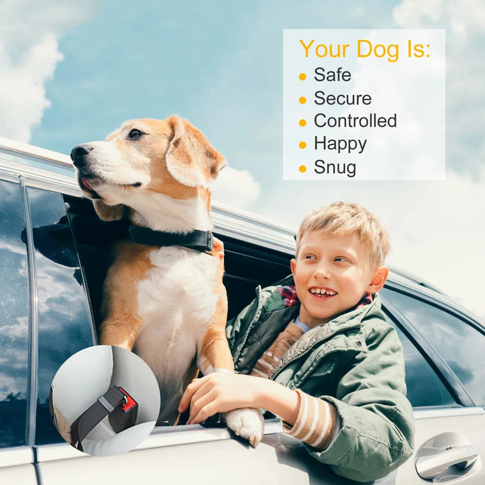 Beagle dog enjoying the breeze with its head out of a car window while a child holds onto it, showcasing a pet safety harness system.