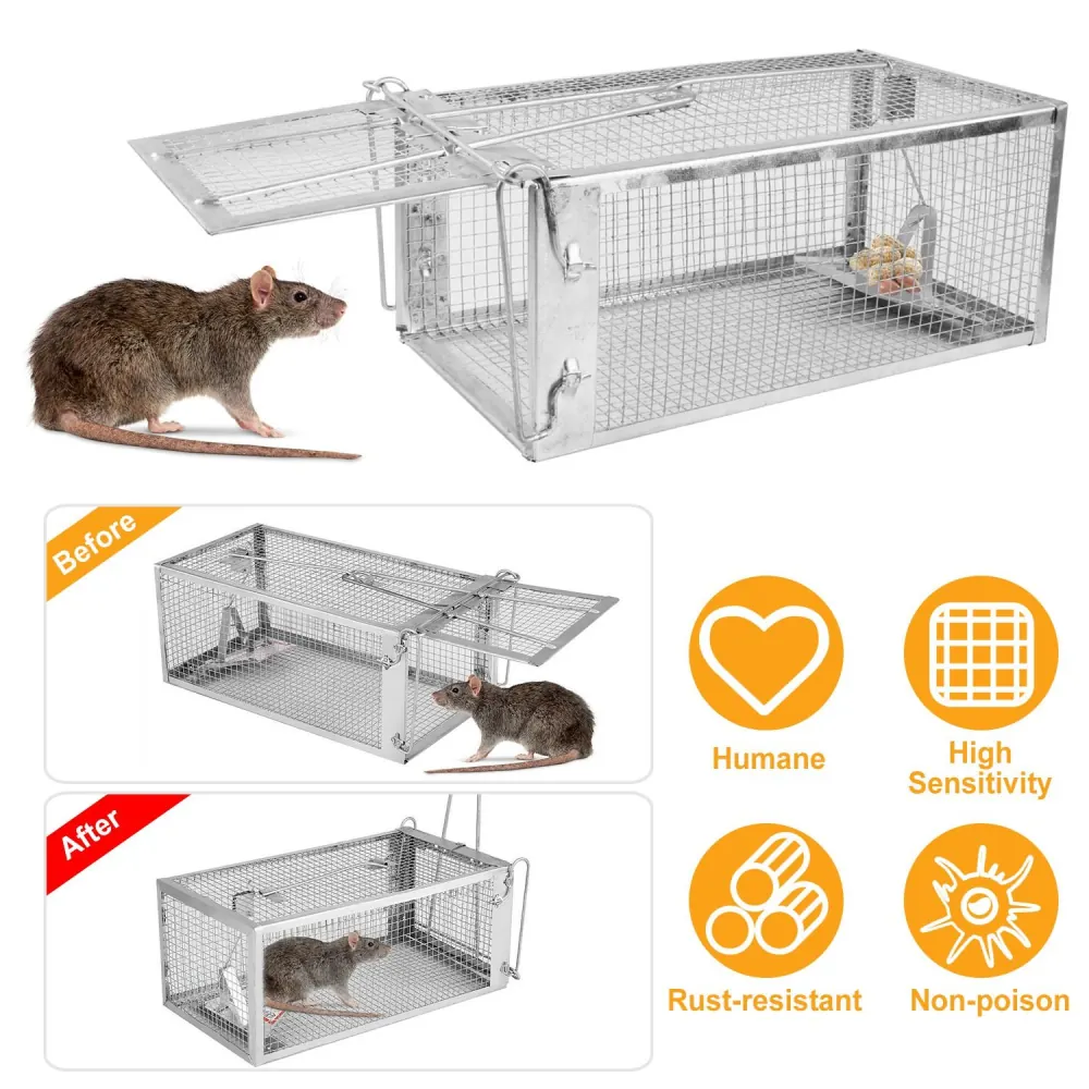 Humane rat trap with high sensitivity design, rust-resistant metal construction, featuring a live capture mechanism, shown with a rat inside and before-and-after images of the trap.