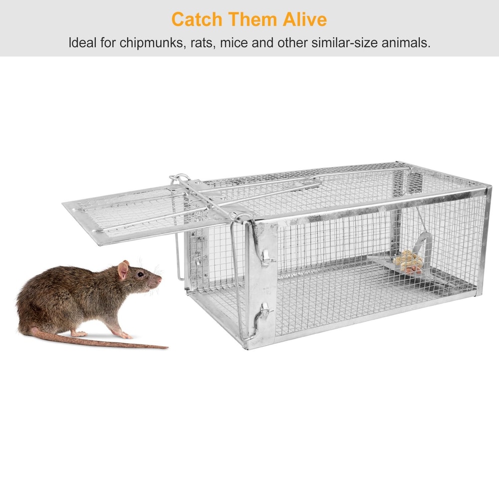 Metal live trap for mice and rats with a rodent approaching, showcasing a safe and humane way to capture small animals.