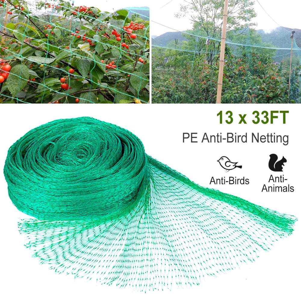 13x33FT green PE anti-bird netting roll for protecting plants from birds and animals, showcasing its use in a garden with red berries.