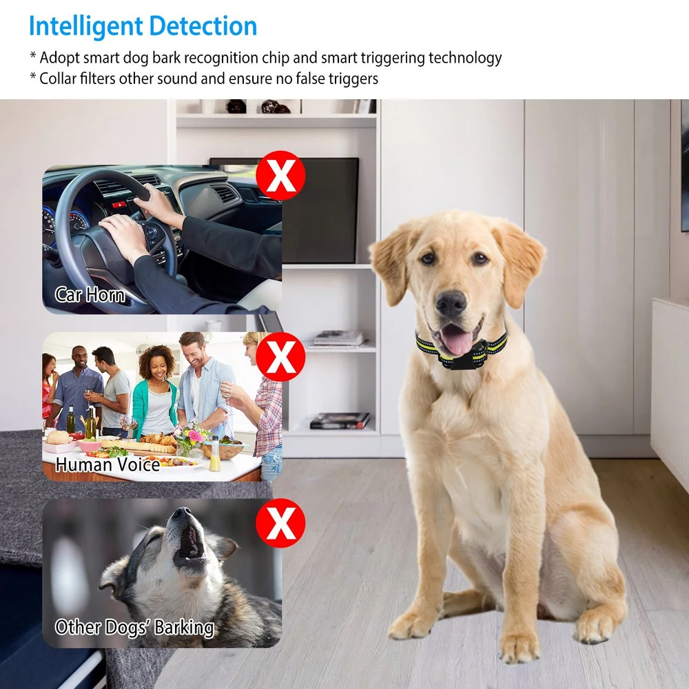 Golden retriever wearing a smart bark collar designed for intelligent detection, with examples of sounds it filters out including car horns, human voices, and other dogs barking, displayed in the background.