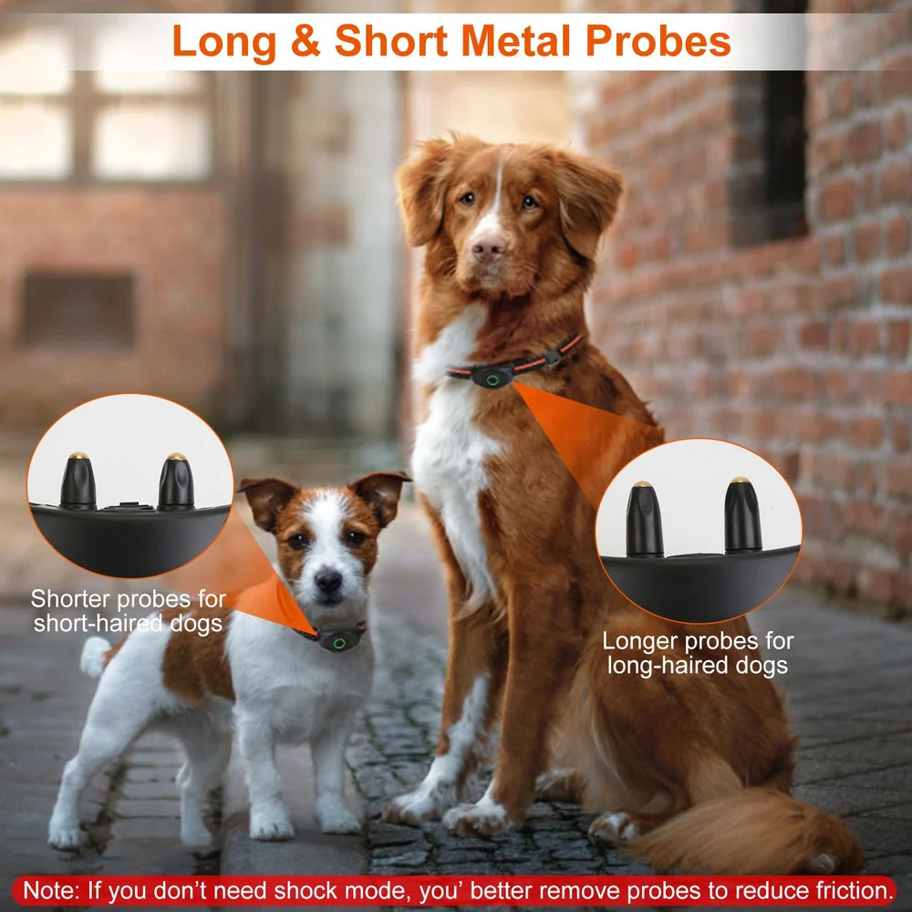 Dogs with varying coat lengths wearing a training collar with long and short metal probes, highlighting features for both short-haired and long-haired dogs.