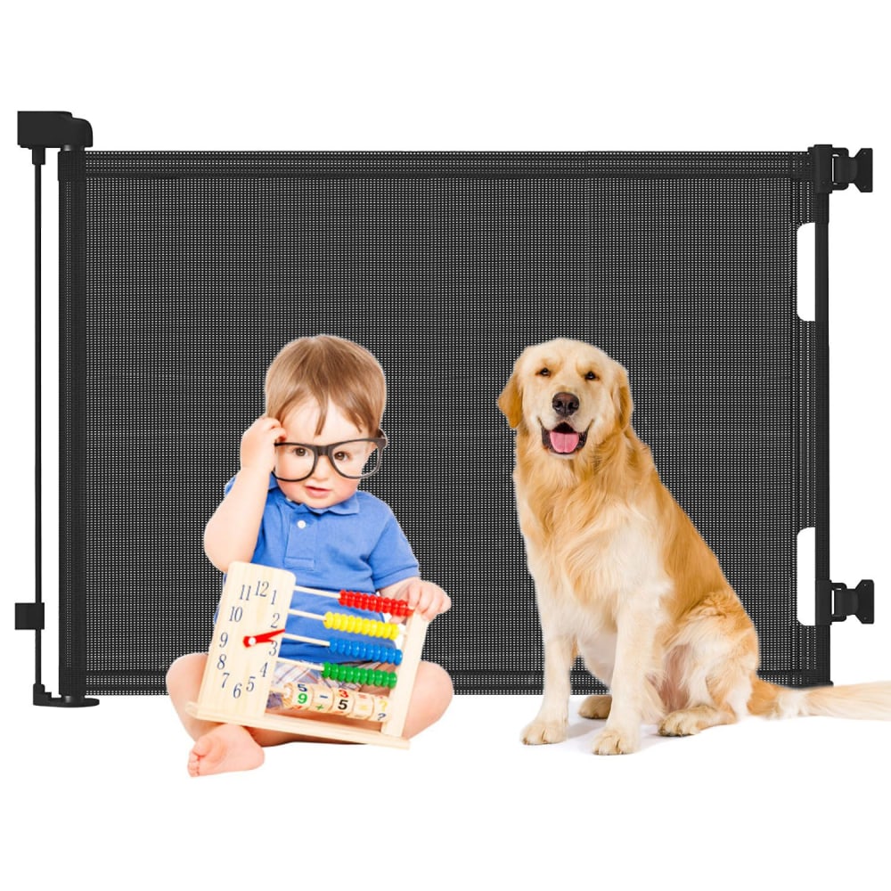 Child and golden retriever dog next to a safety mesh gate, with the child playing with a colorful abacus, promoting safety and supervision in homes with kids and pets.