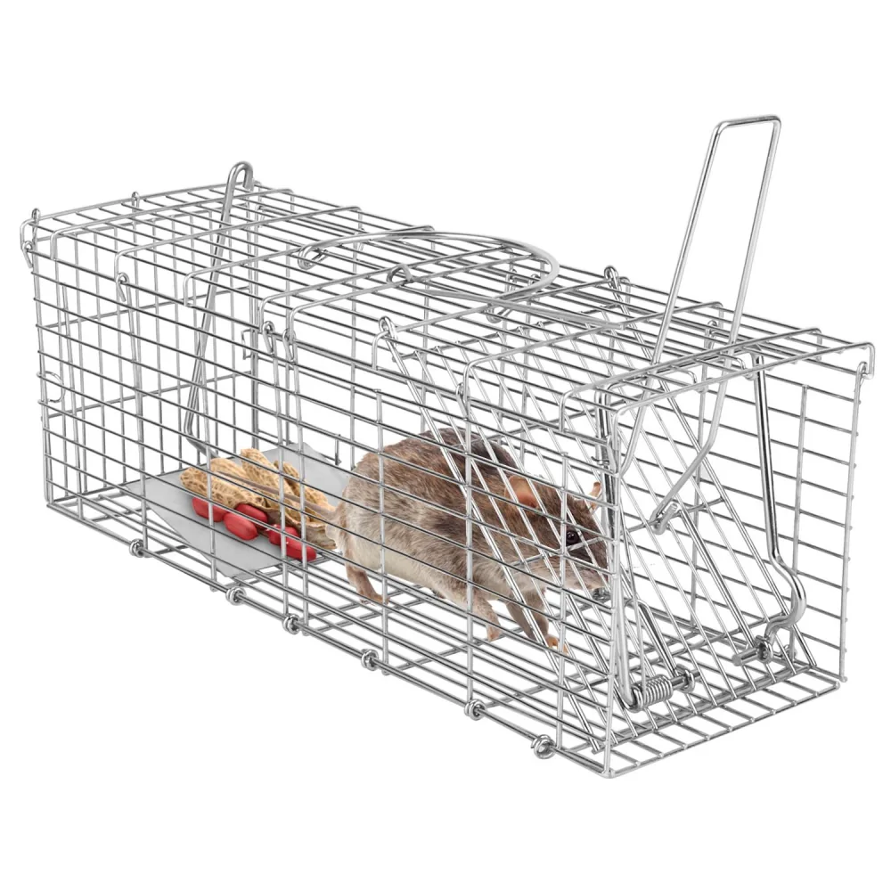 Wire humane mouse trap with a captured mouse inside, featuring bait on a tray for effective trapping.
