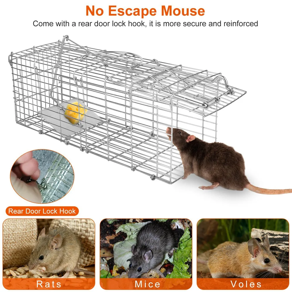 Stainless steel no escape mouse trap featuring a rear door lock hook, designed for secure capture of rats, mice, and voles.