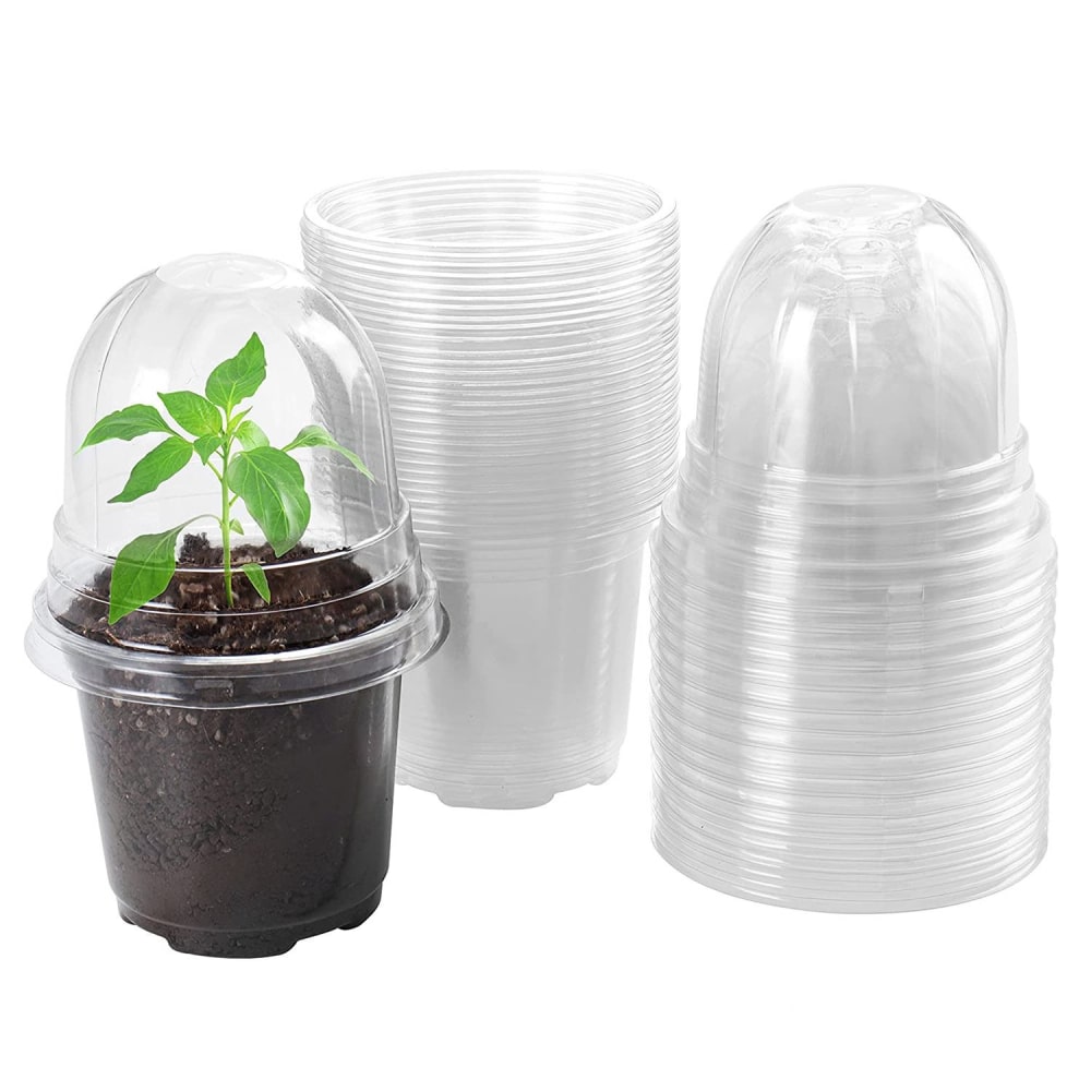 Clear plastic plant starter pots with a dome lid, featuring a small green plant sprouting from dark soil, surrounded by stacks of additional empty pots for gardening use.