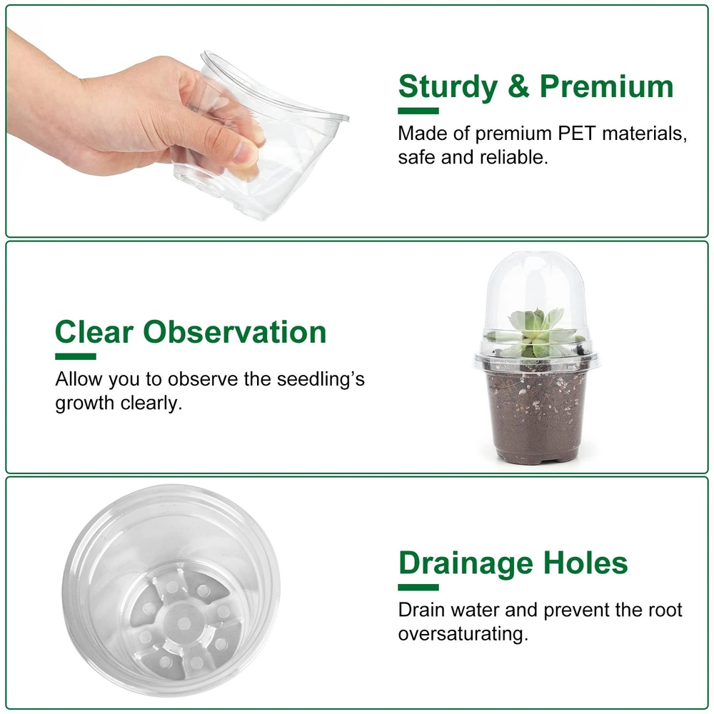 Clear plastic seedling starter pot with drainage holes, designed for easy observation of plant growth, held by a hand.