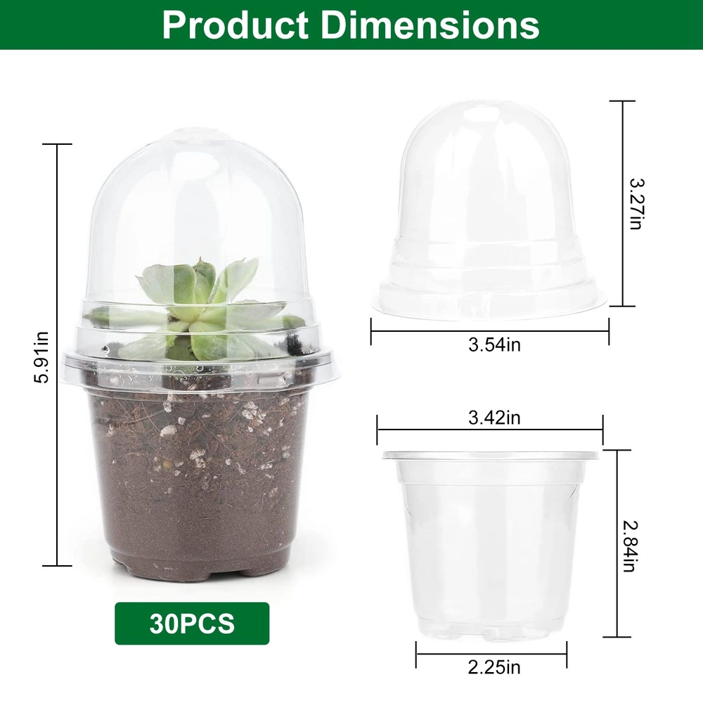 Clear plastic plant pots with dimensions labeled, showcasing a succulent inside, product quantity of 30 pieces, and a dome lid for humidity retention.