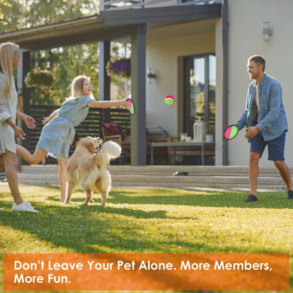 A family playing with a golden retriever in the backyard on a sunny day, showcasing outdoor fun and companionship.