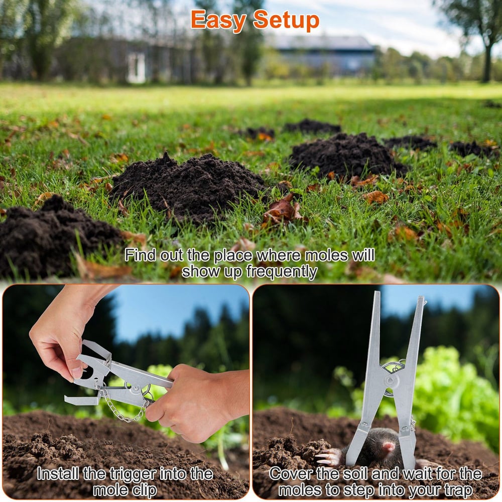 A person setting up a mole trap in a grassy yard, showcasing easy installation steps, with visible mole hills in the background.