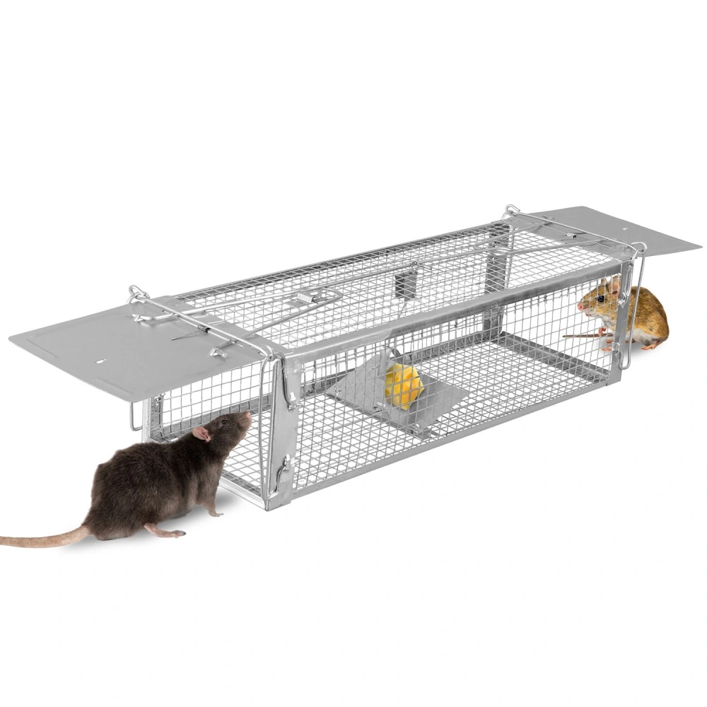 Stainless steel humane mouse trap featuring two entrances, with a cheese bait inside, and a brown rat investigating one entrance and a small mouse near the other entrance.