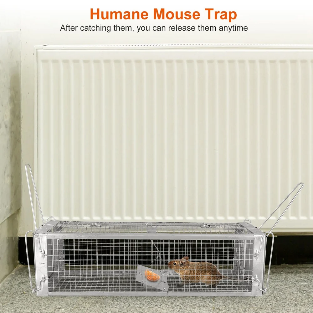 Humane mouse trap with a small mouse inside, featuring a baited plate, set against a neutral background with a radiator, emphasizing a cruelty-free pest control solution.
