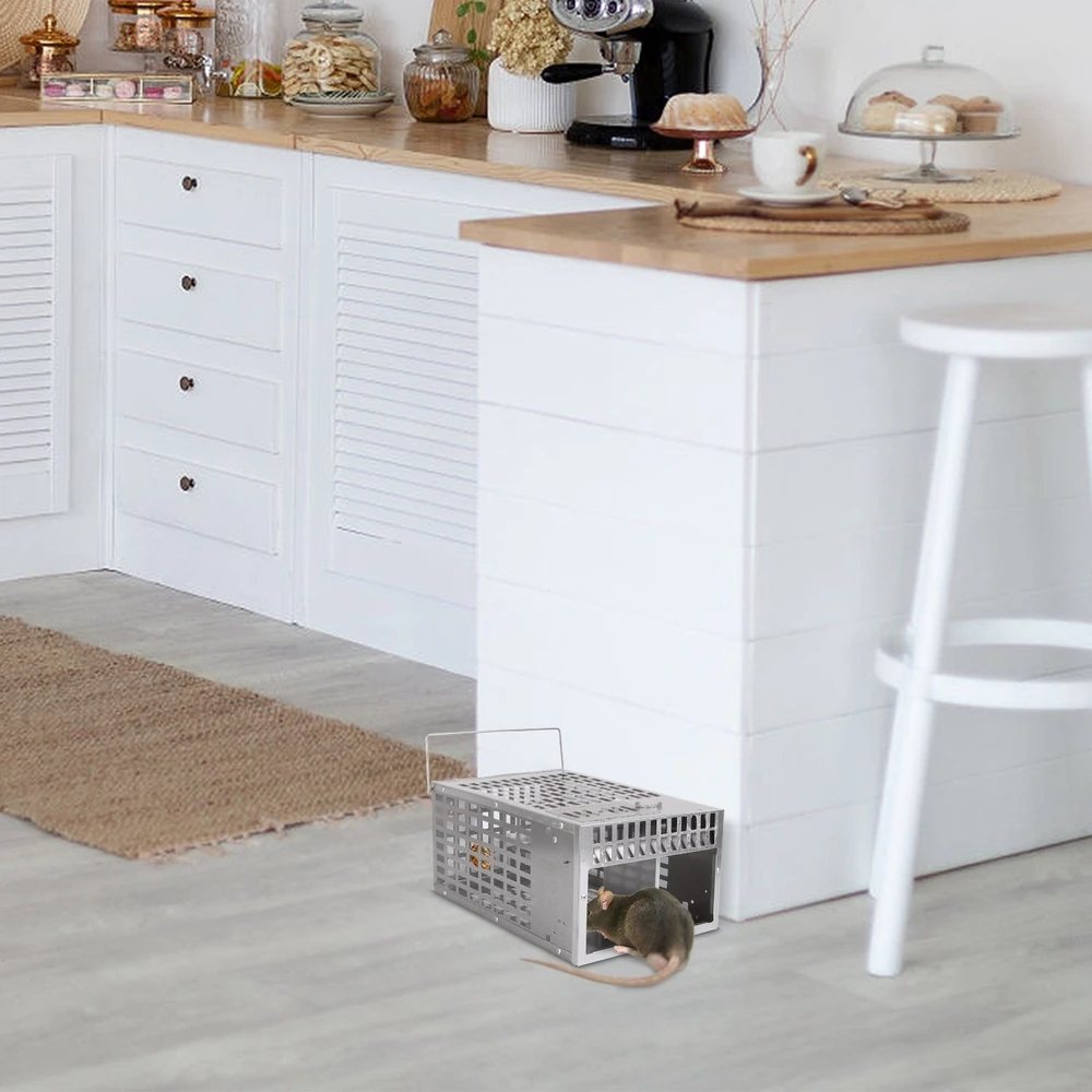 Stainless steel rat trap catching a rodent in a modern kitchen setting with white cabinetry and wooden countertops.